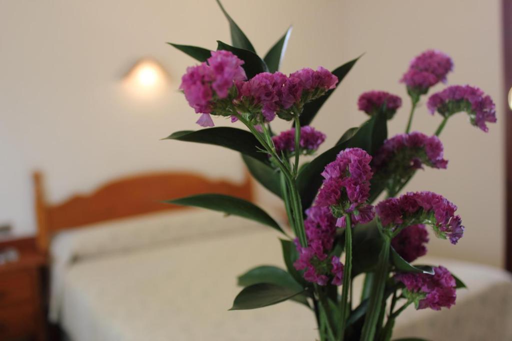 Hotel Abadi Cordoba Ngoại thất bức ảnh